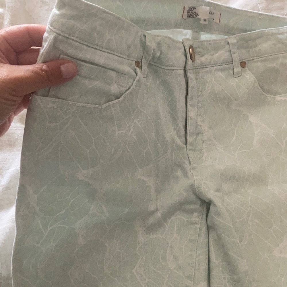 RW&CO mint patterned skinny jeans